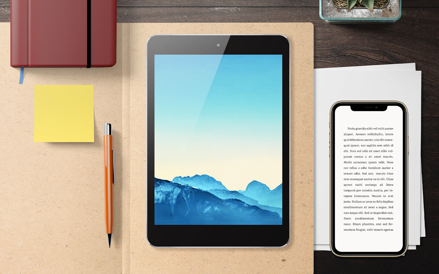 The Ultimate Guide to the iPad Air